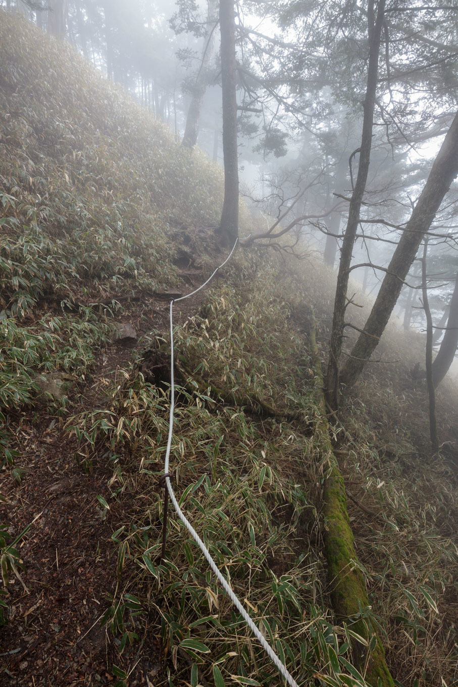ちびっ子兄弟 霞の山へ「半月山」_c0369219_14173406.jpg