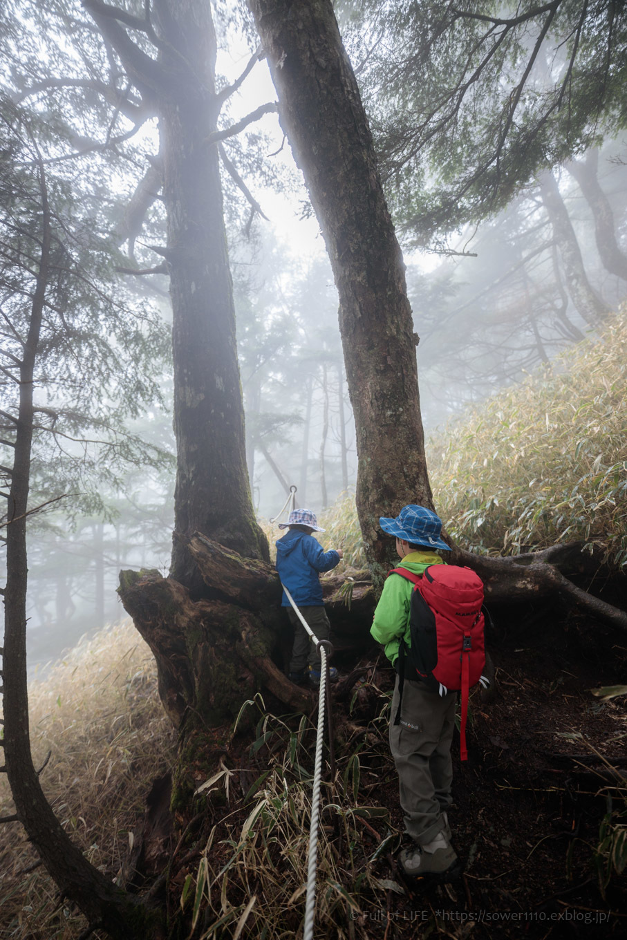 ちびっ子兄弟 霞の山へ「半月山」_c0369219_14280150.jpg