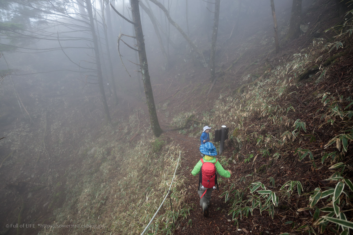 ちびっ子兄弟 霞の山へ「半月山」_c0369219_14304924.jpg