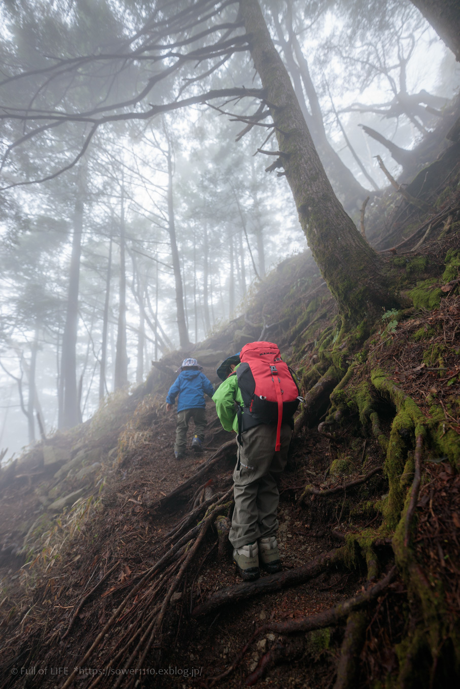 ちびっ子兄弟 霞の山へ「半月山」_c0369219_14372812.jpg