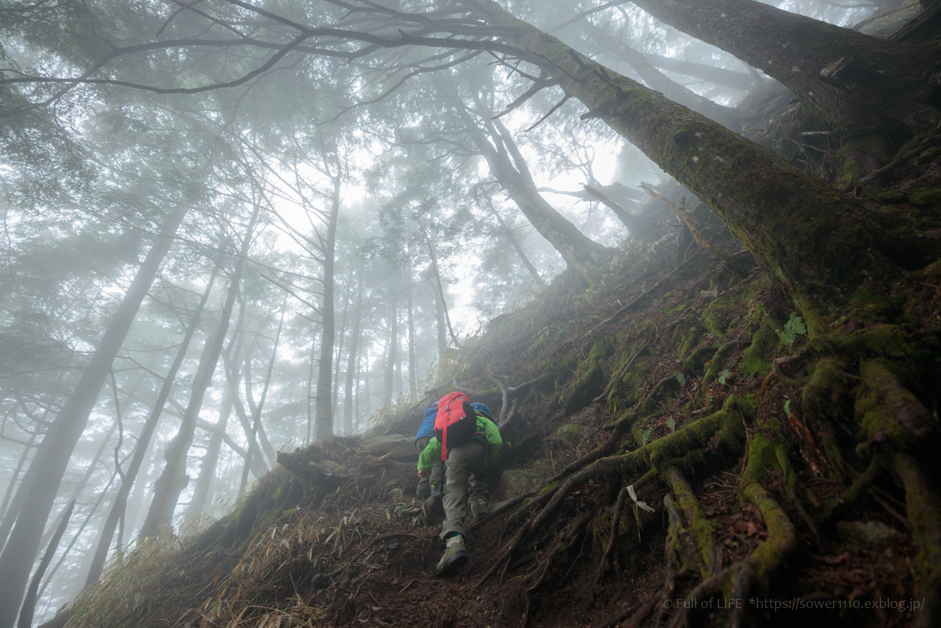 ちびっ子兄弟 霞の山へ「半月山」_c0369219_14394190.jpg