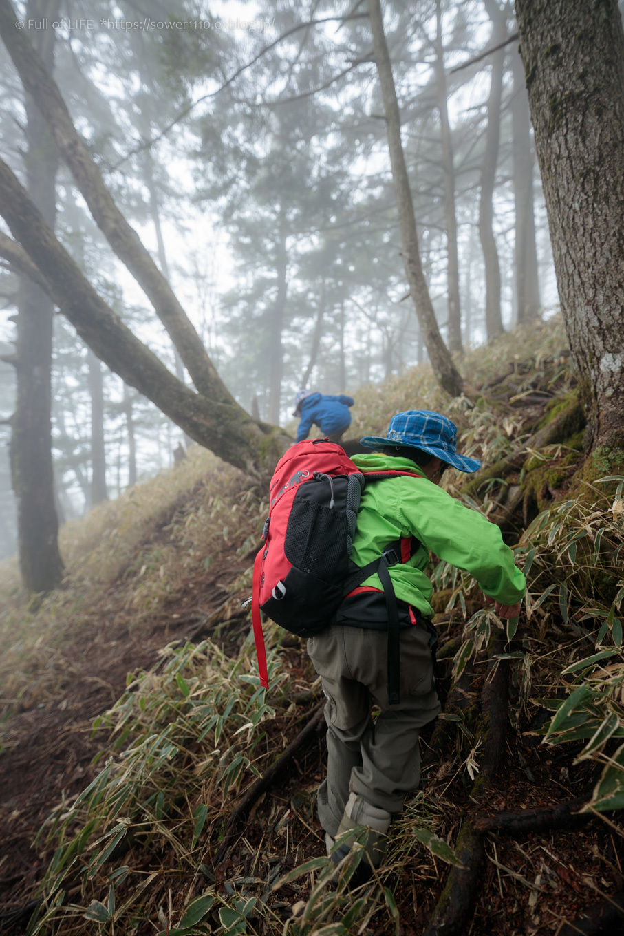 ちびっ子兄弟 霞の山へ「半月山」_c0369219_14444912.jpg