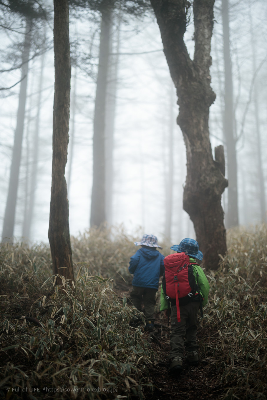 ちびっ子兄弟 霞の山へ「半月山」_c0369219_14475799.jpg