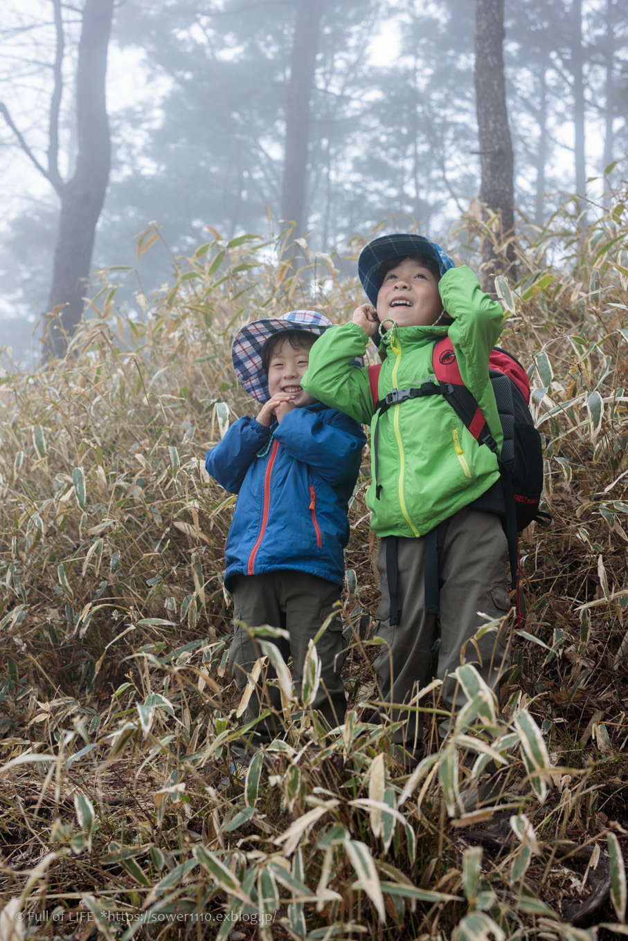 ちびっ子兄弟 霞の山へ「半月山」_c0369219_14513451.jpg