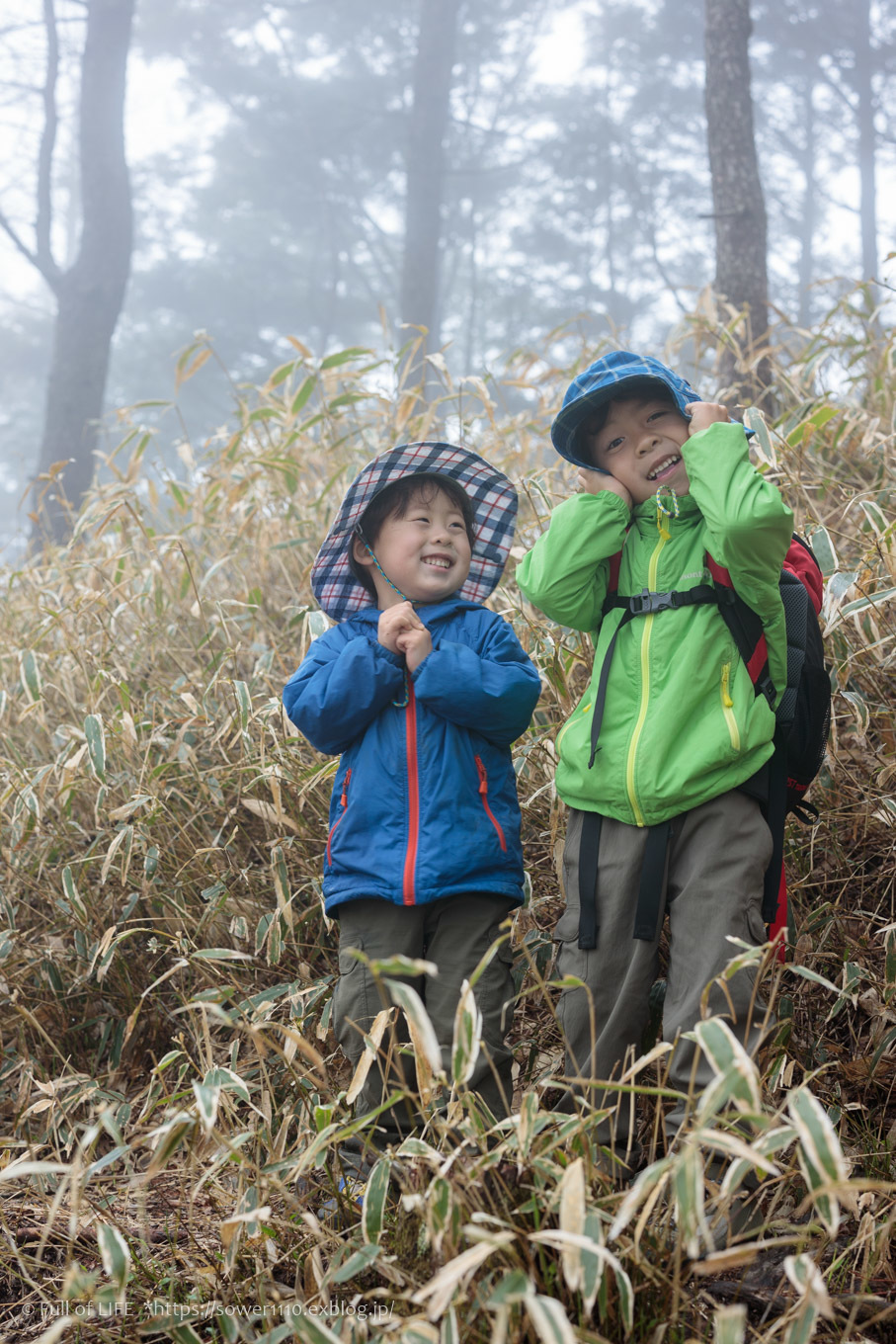 ちびっ子兄弟 霞の山へ「半月山」_c0369219_14534320.jpg