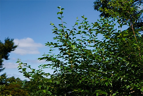 a0282620_19175282.jpg