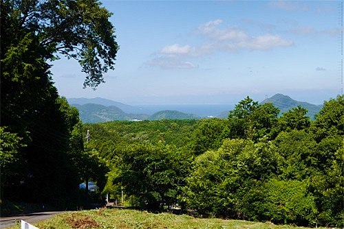 待ちわびるように、梅雨の晴れ間に外仕事に勤しむ。_a0282620_19203654.jpg