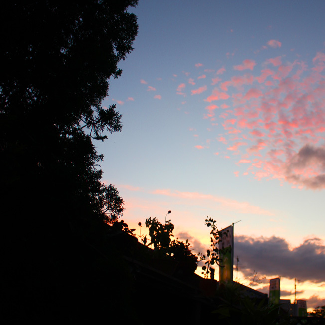a0329820_21024567.jpg