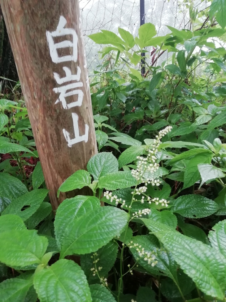 f0193521_20153159.jpg