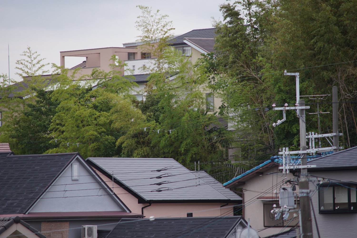 b0069128_13572047.jpg