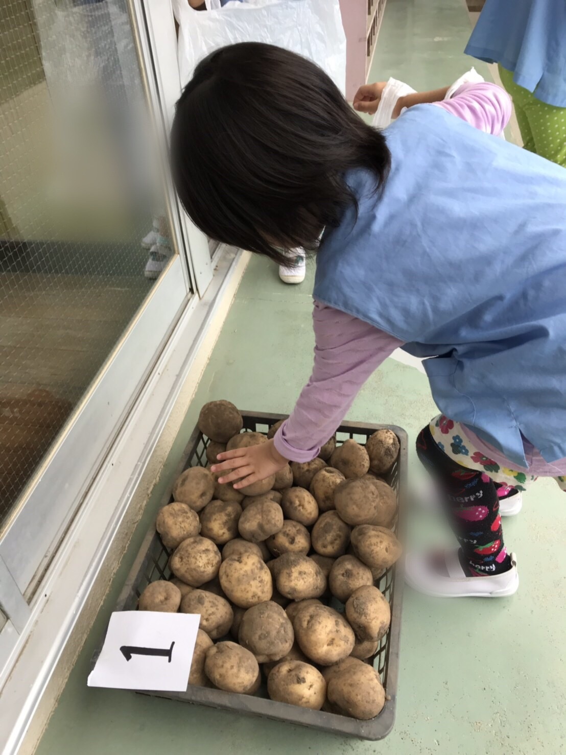 &#129364;じゃがいも&#129364;を持ち帰りました&#128516;_e0341328_18293519.jpeg