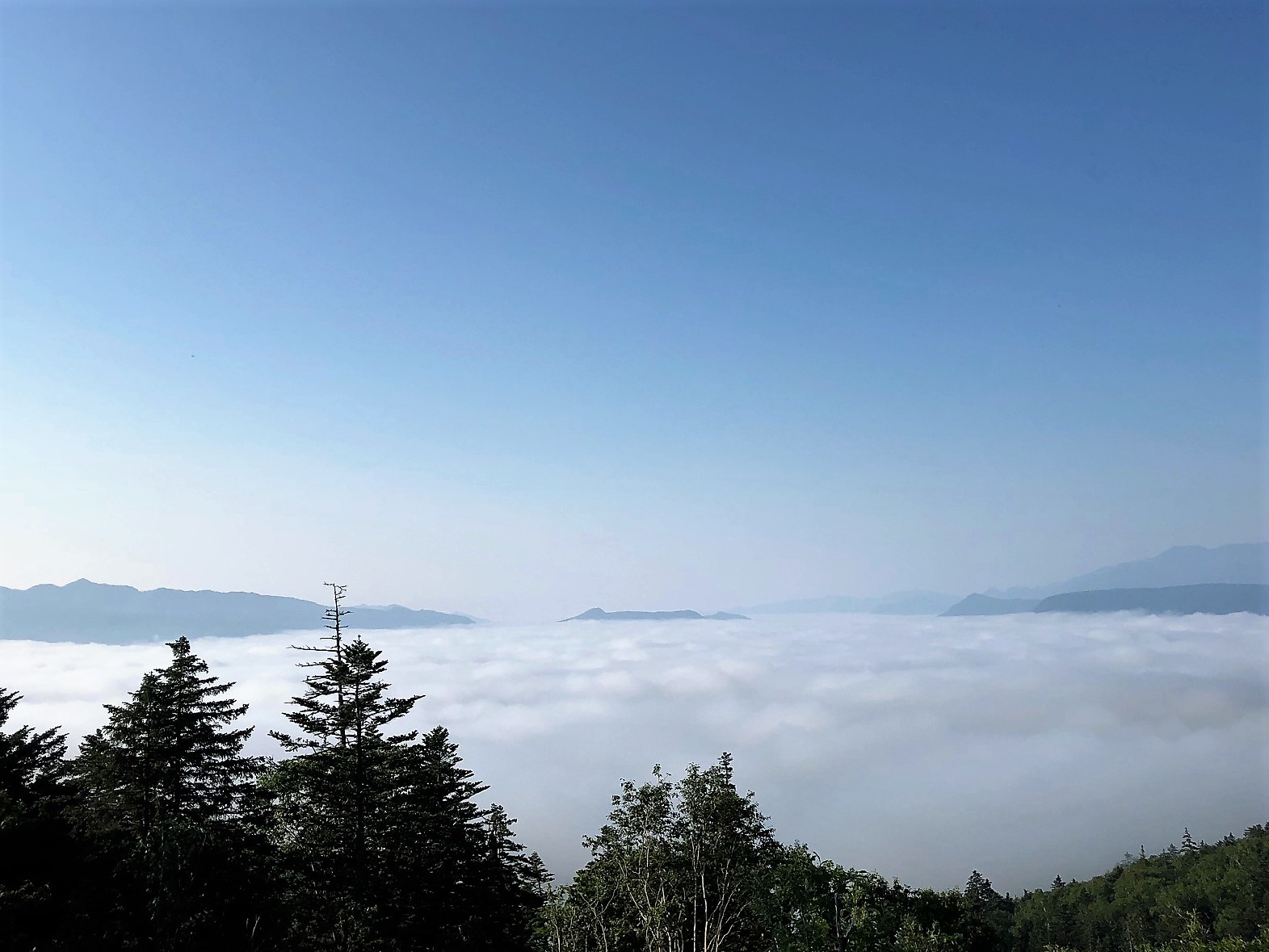 d0069235_22300179.jpg