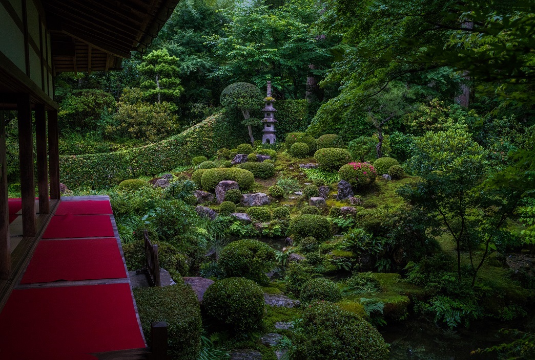 三千院 あじさい祭り 鏡花水月