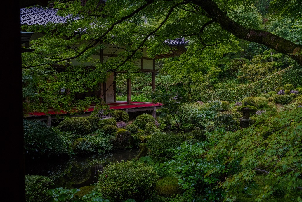三千院 あじさい祭り 鏡花水月