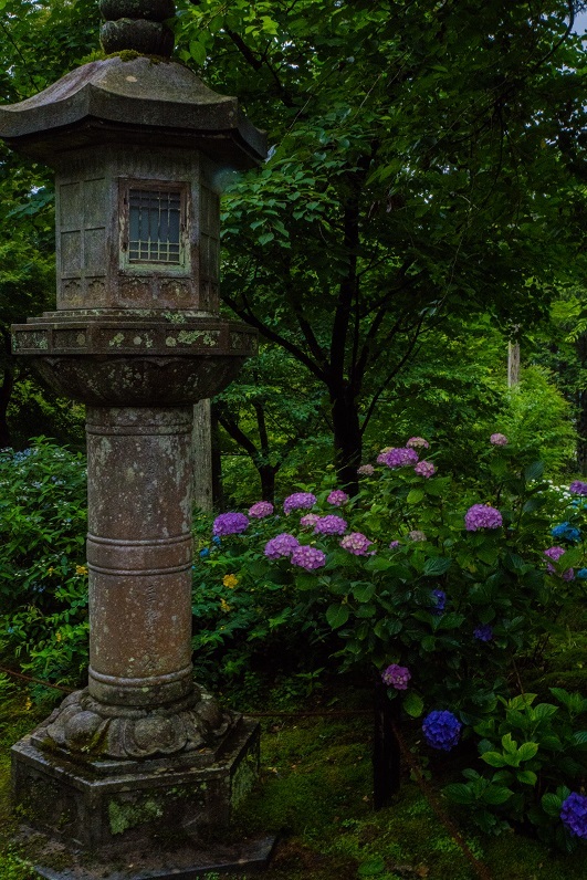 三千院 あじさい祭り 鏡花水月