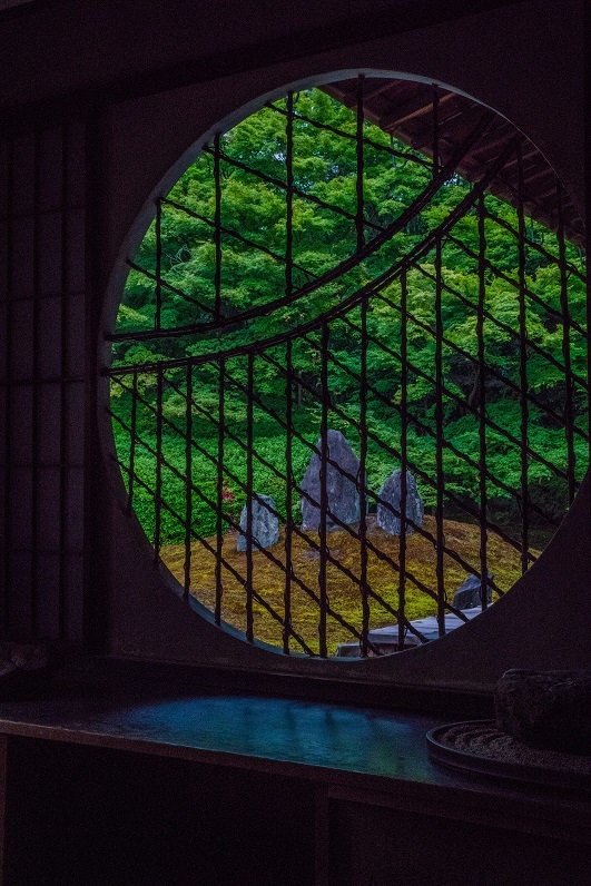 青もみじの光明院(東福寺塔頭)_e0363038_16163665.jpg