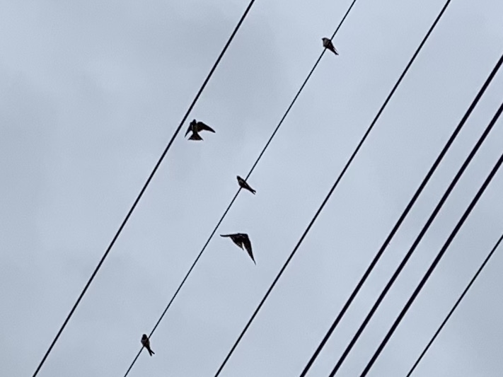 b0330040_23510905.jpeg