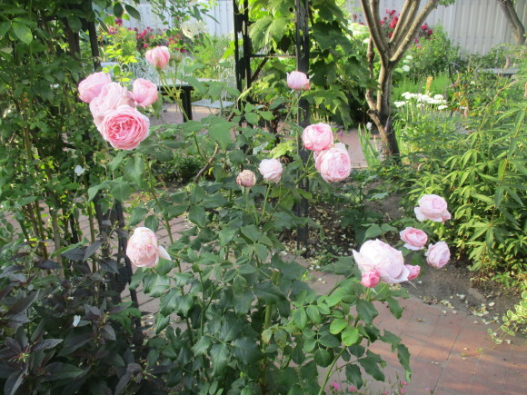 a0279743_08034017.jpg