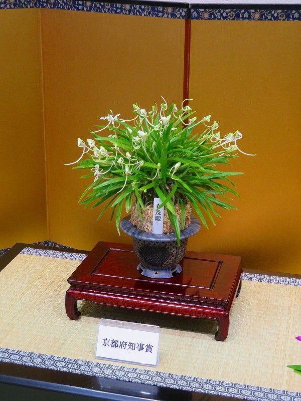 e0237645_13301529.jpg