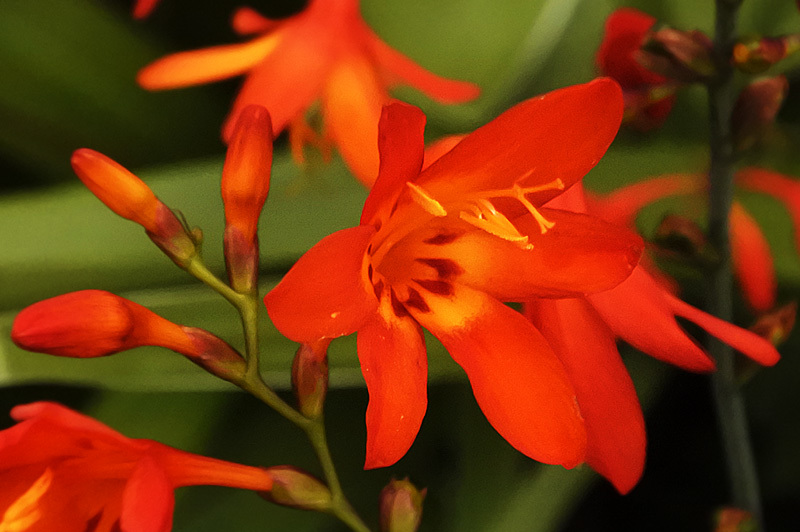 d0322448_17175990.jpg