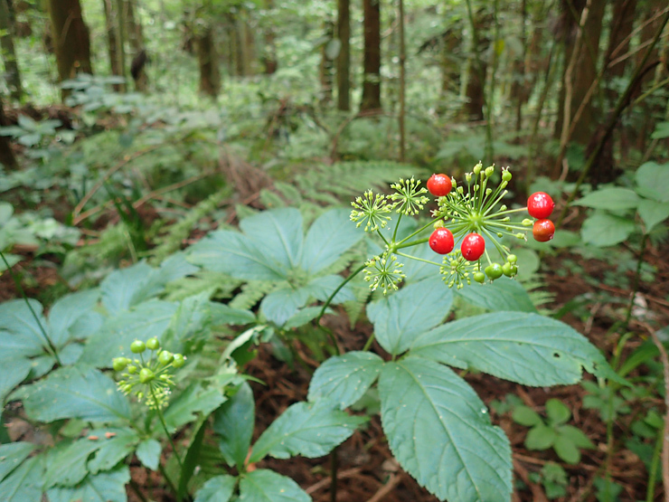 f0214649_05250583.jpg
