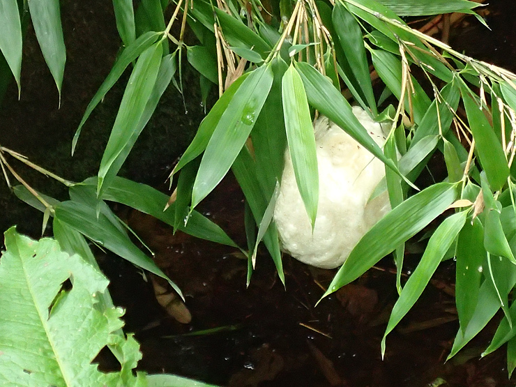 f0214649_05540109.jpg