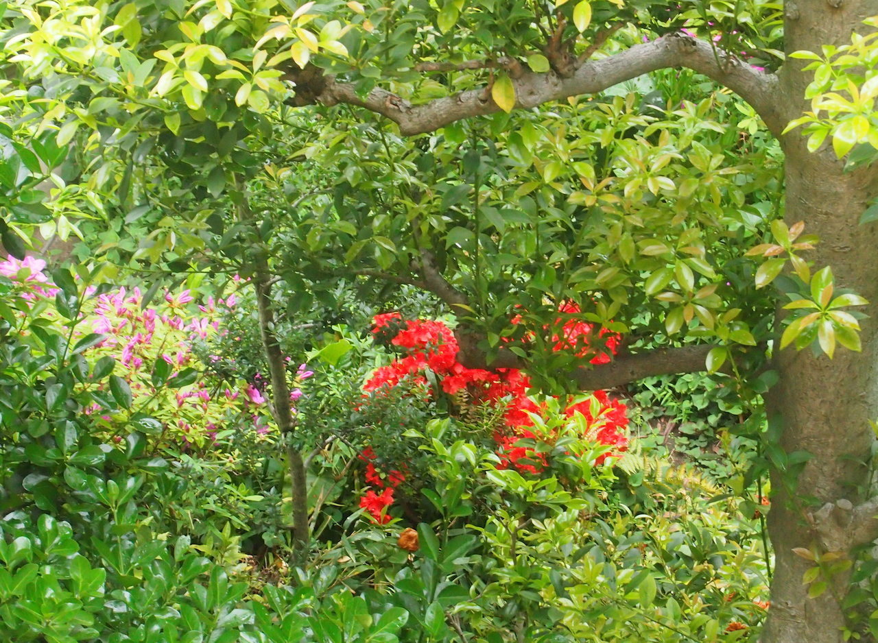 b0396150_10572789.jpg