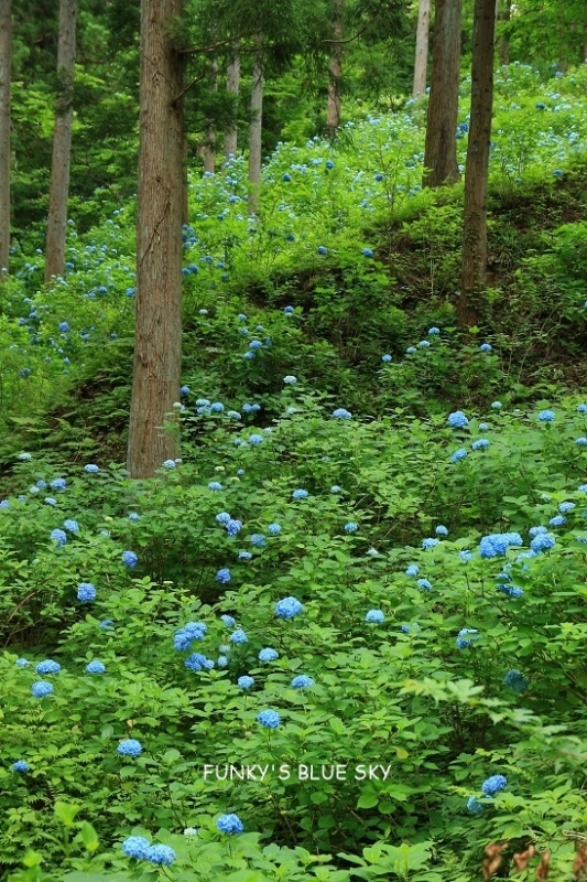 c0145250_09014988.jpg