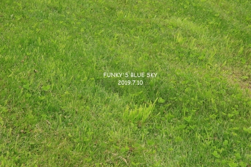 c0145250_14570128.jpg
