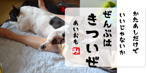 ポンコツは私だった・・・_b0307951_07504832.png