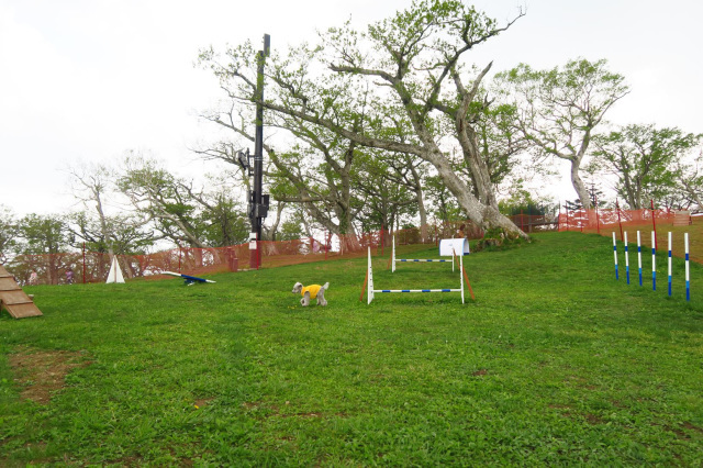 e0129656_22505754.jpg