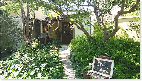 藤枝市 カフェドモエさんでランチ 番犬ハナとmix犬サクのおさんぽ毎日 藤枝市 カフェドモエさんでランチ 番犬ハナとmix犬サクのおさんぽ毎日