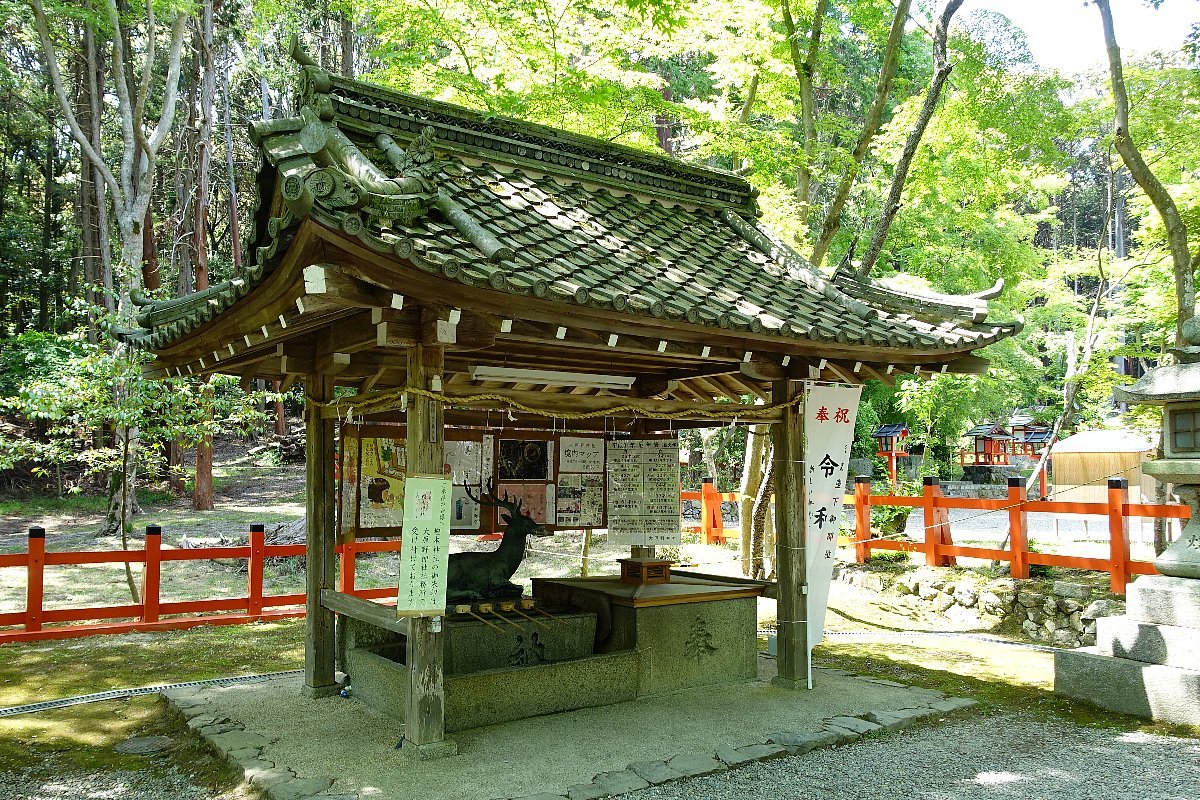 大原野神社（その３）社殿_c0112559_08224530.jpg