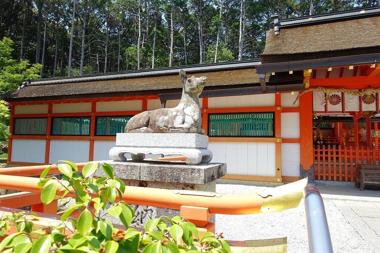 大原野神社（その３）社殿_c0112559_08260539.jpg