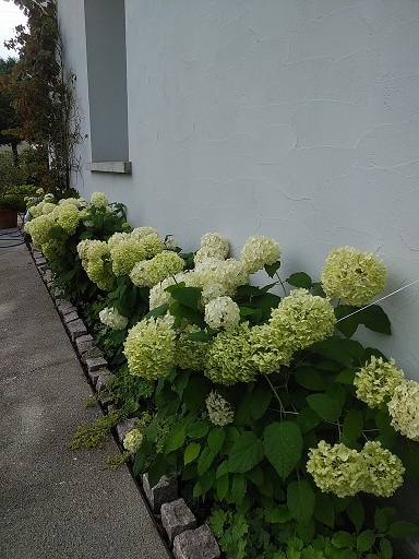 c0172261_08532646.jpg