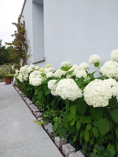 c0172261_08542904.jpg