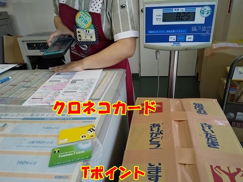 a0331562_17301935.jpg