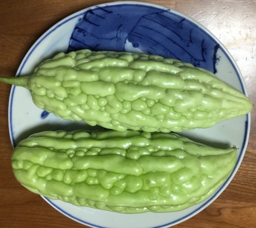 a0053063_11312285.jpeg
