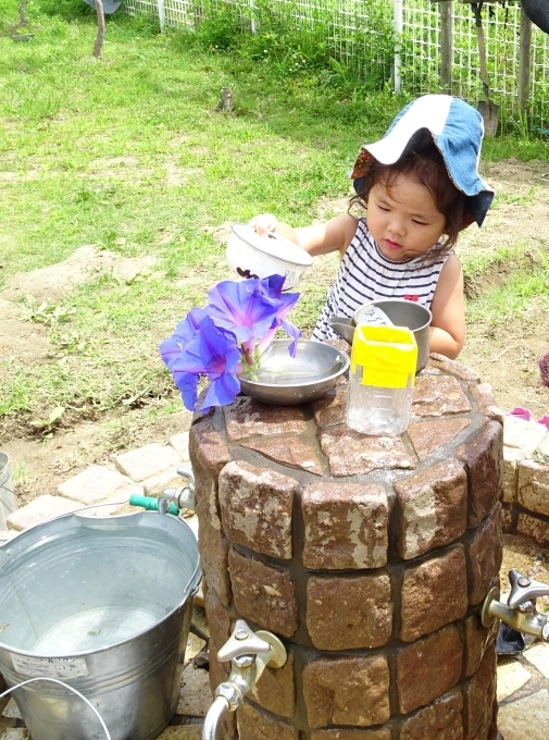 d0244563_06083985.jpg