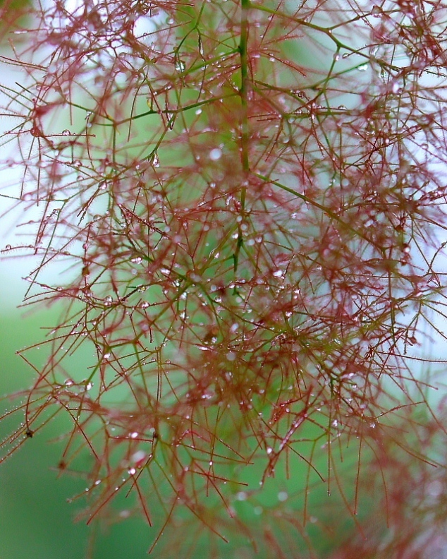 c0305565_18112864.jpg