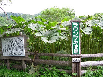 b0171771_07431497.jpg