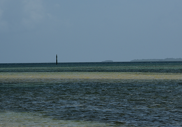 e0064375_10495680.jpg