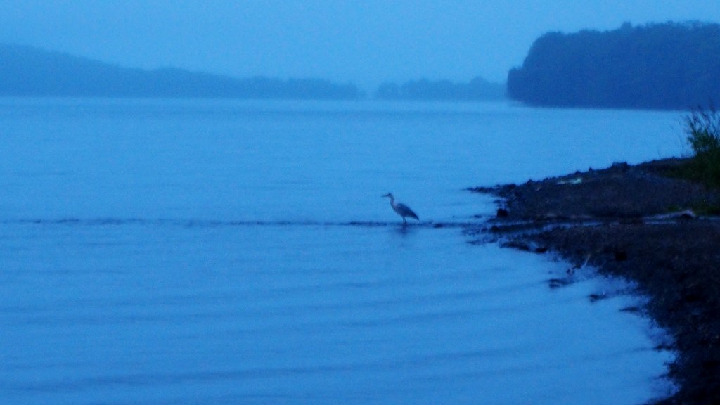 c0183777_10313254.jpg