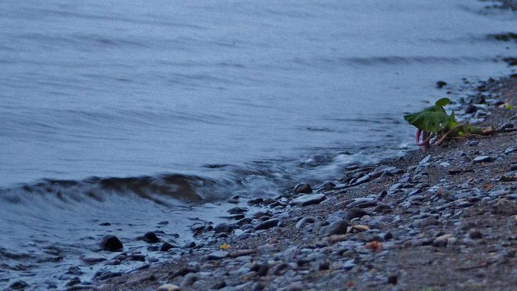 c0183777_103196.jpg