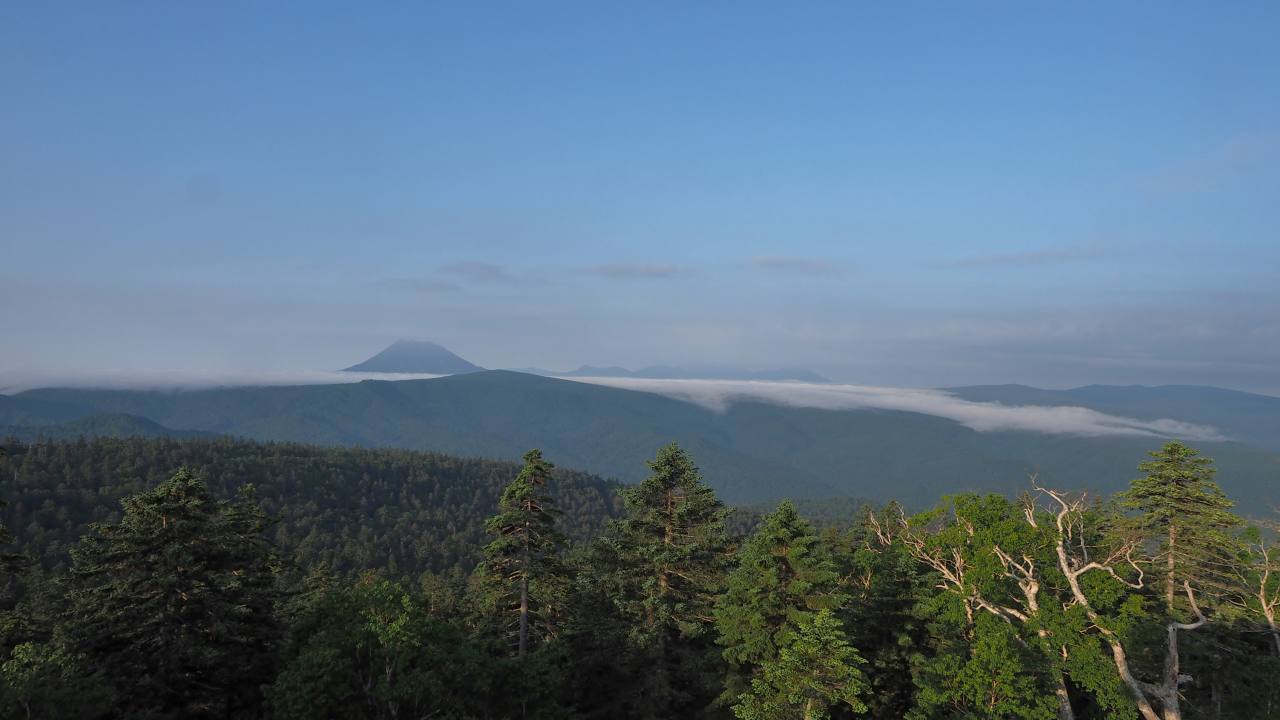 c0183777_1044335.jpg