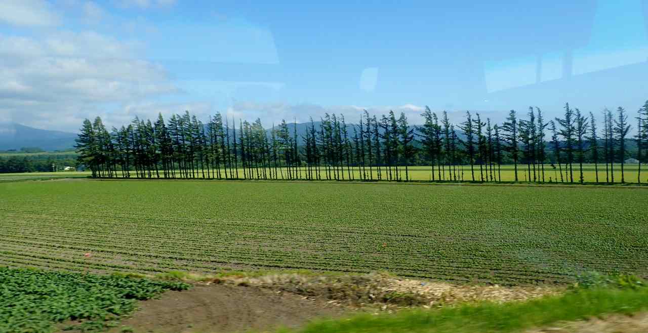 c0183777_1546064.jpg