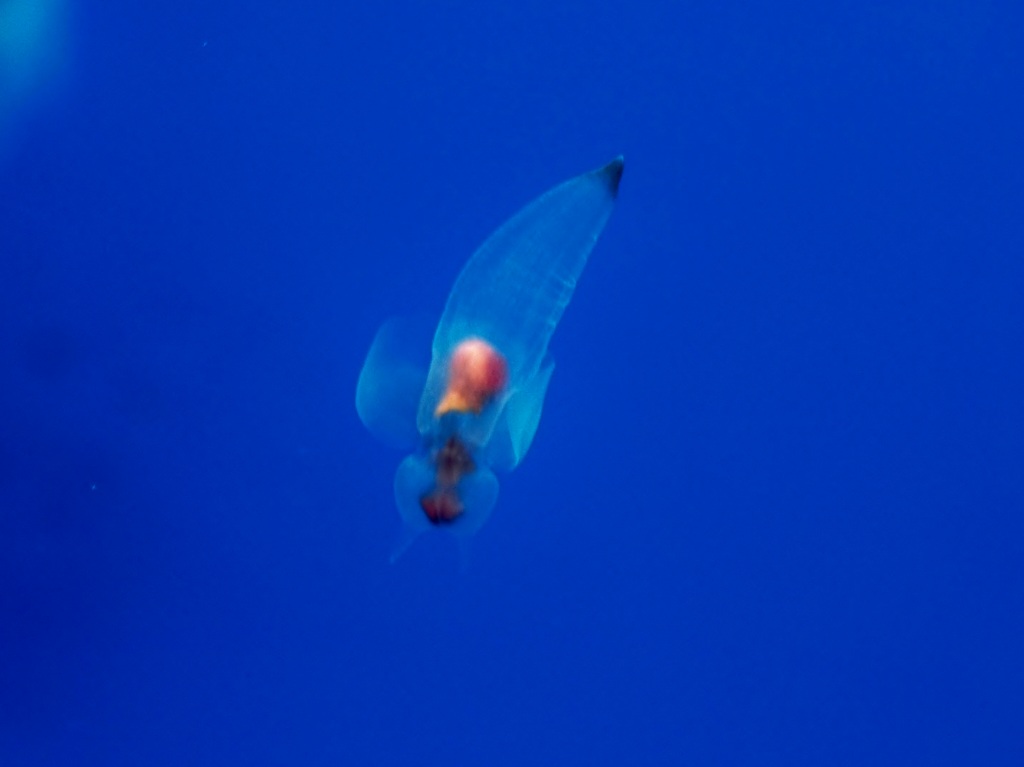 c0183777_540548.jpg
