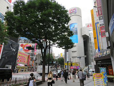 b0056983_11492842.jpg