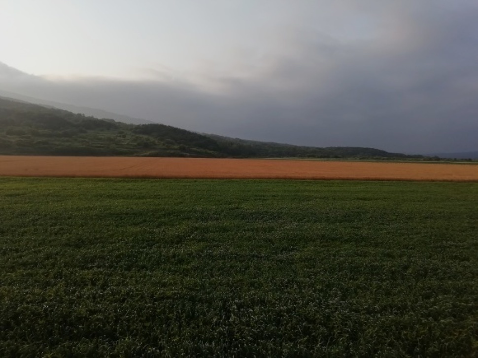 c0212083_10065388.jpg