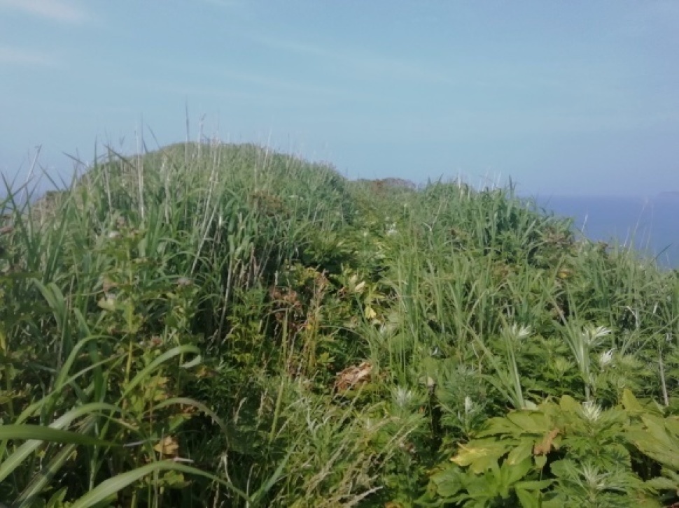 c0212083_20283020.jpg